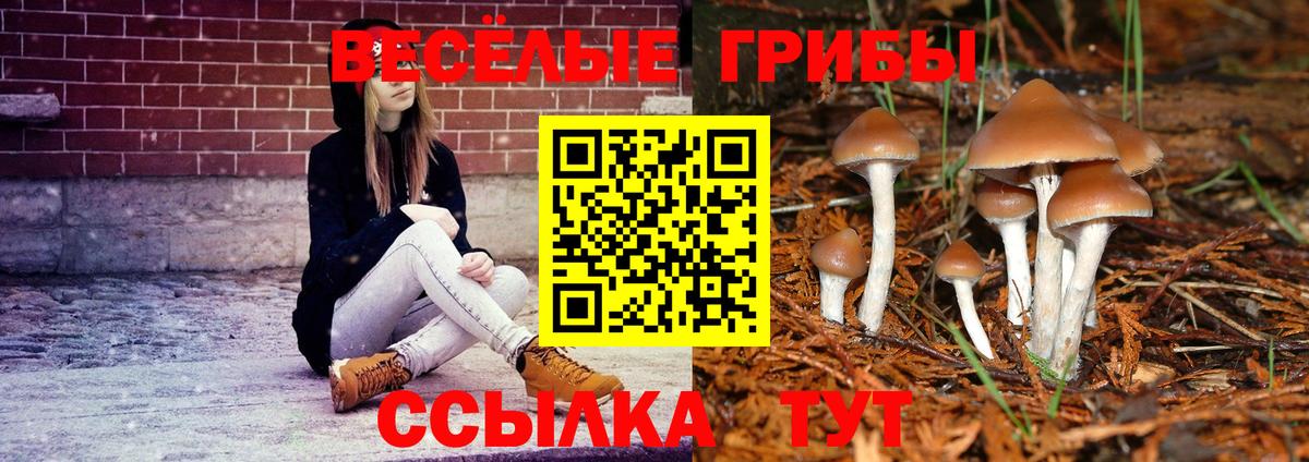 Галлюциногенные грибы MAGIC MUSHROOMS Лабинск