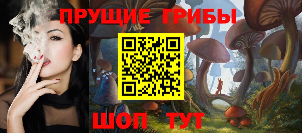 Лабинск  Псилоцибиновые грибы прущие грибы  Вход с VPN 